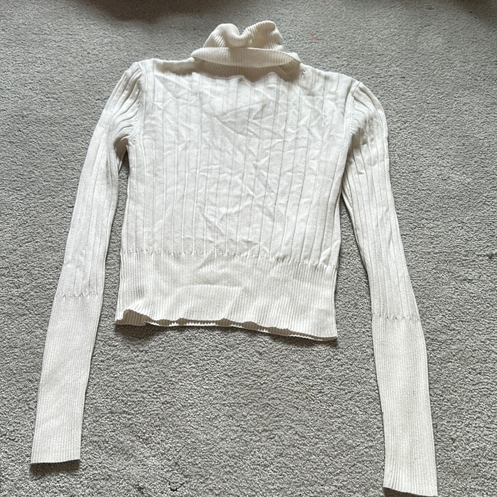 Zara cropped turtle neck sweater
